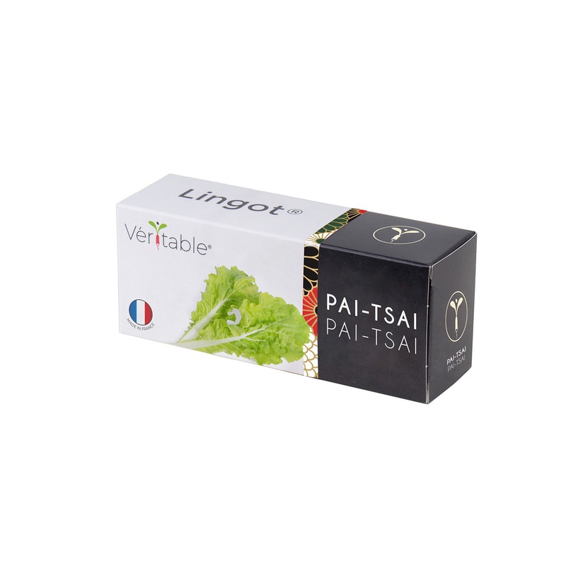 Veritable Lingot Patsai Organic