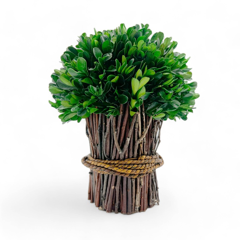 Preserved 10″ Boxwood Standing Topiary Plant