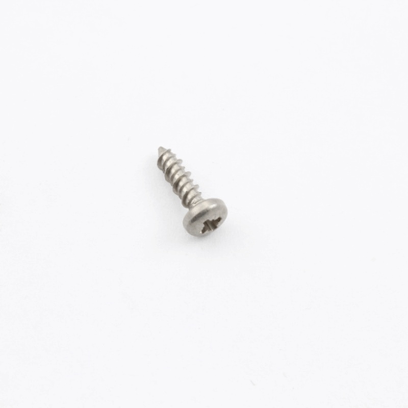 Screw, TCB Torx 10 3X10 SS