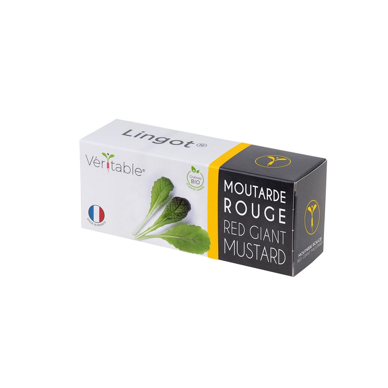 Veritable Lingot Red Giant Mustard Organic