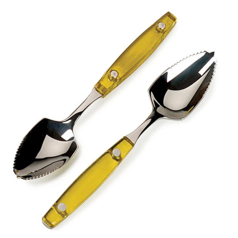 Endurance Grapefruit Spoon Set of 2