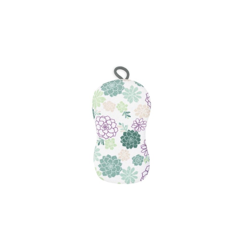 2 in 1 Sponge – Succulents