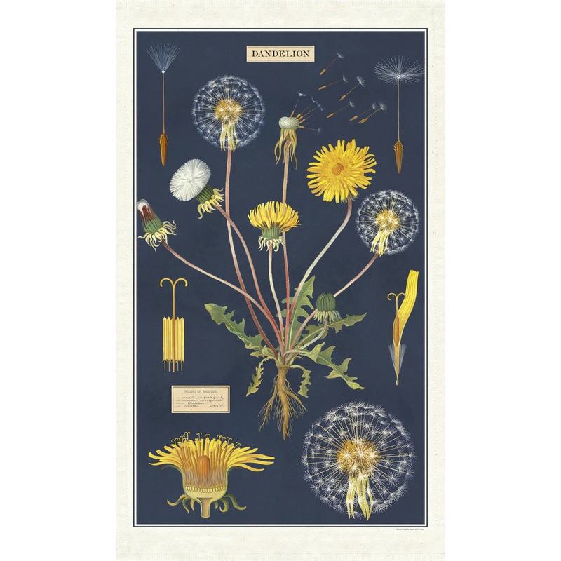 Cavallini & Co. Tea Towel – Dandelion