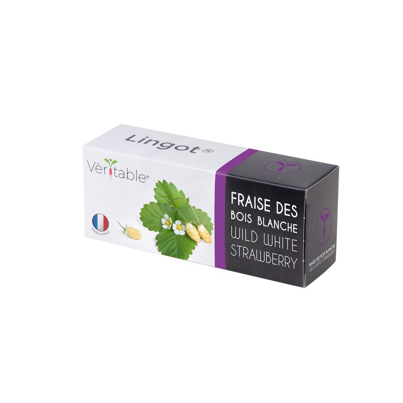 Veritable Lingot White Wild Strawberry
