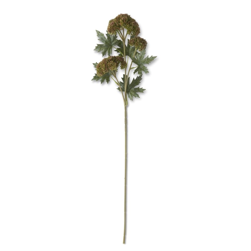 Sedum Stem 28″ Dark Green