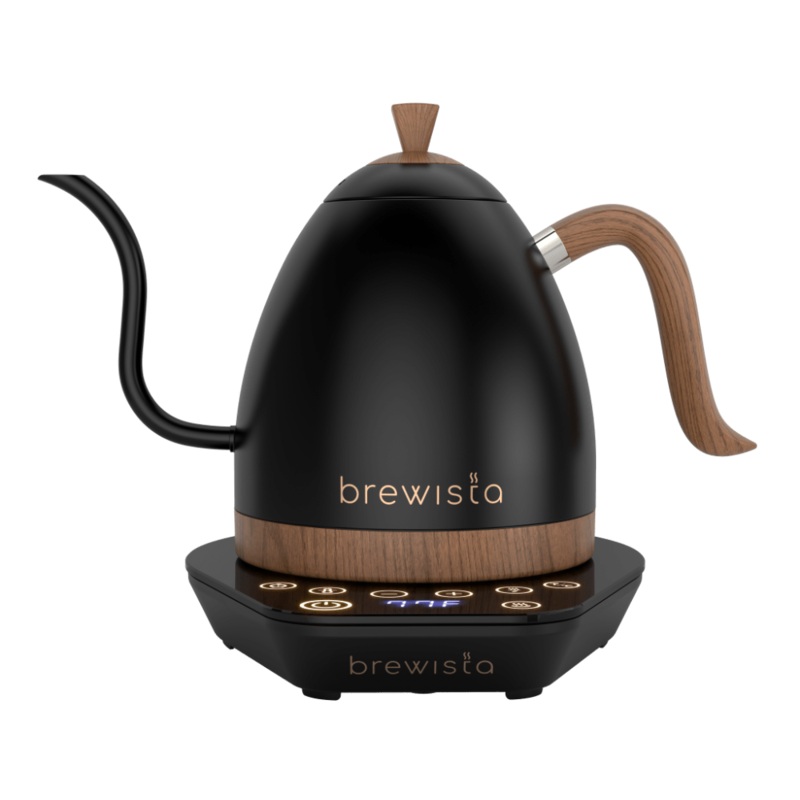 Brewista Artisan Electric Gooseneck Kettle – Matte Black