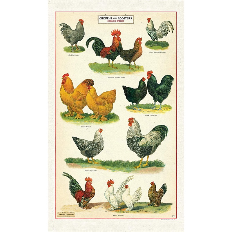 Cavallini & Co. Tea Towel – Chickens