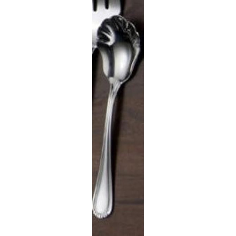 Oneida Seaward Sugar Spoon