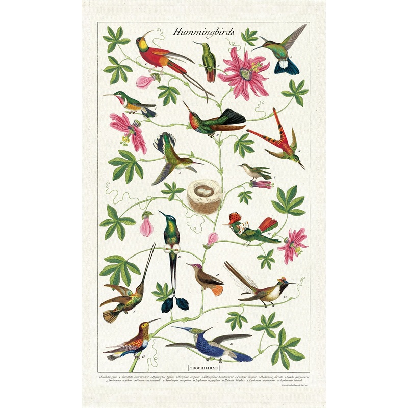 Cavallini & Co. Tea Towel – Hummingbirds