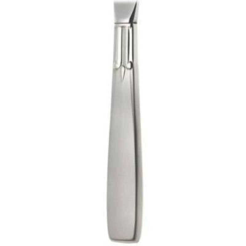 Oneida Accent Bouillon Spoon 18/8 Stainless