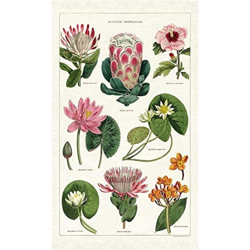 Cavallini & Co. Tea Towel – Tropical Plants