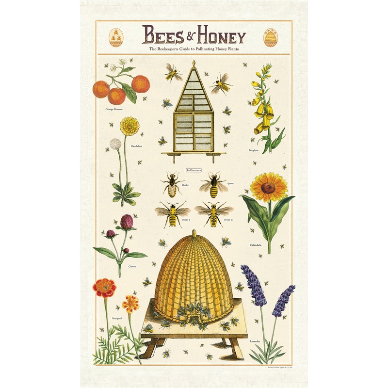 Cavallini & Co. Tea Towel – Bees