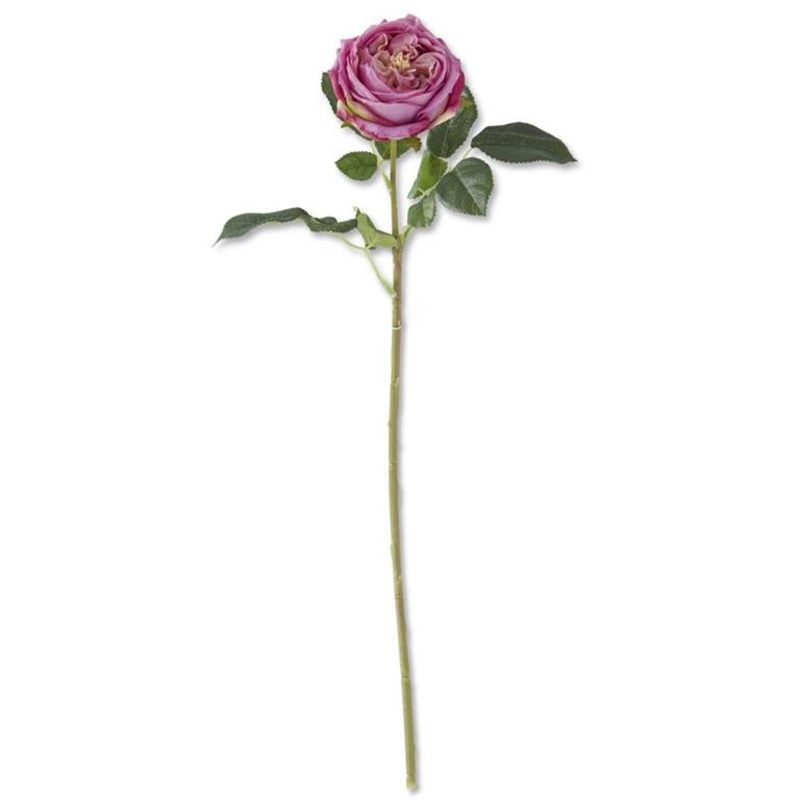 Dark Purple Real Touch Austin Rose Stem 24″
