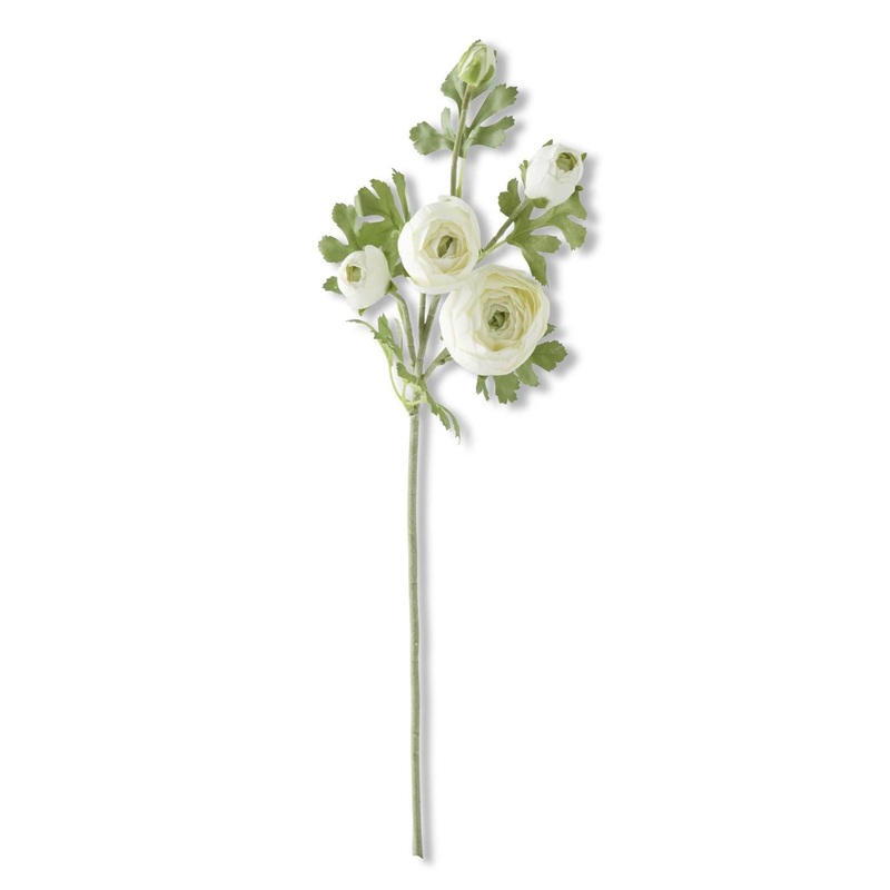 White Real Touch 5 Head Ranunculus Stem 24.5″