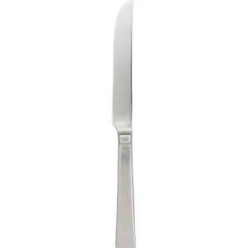 Oneida Techny Dinner Knife 18/10 Stainless 9 1/2″