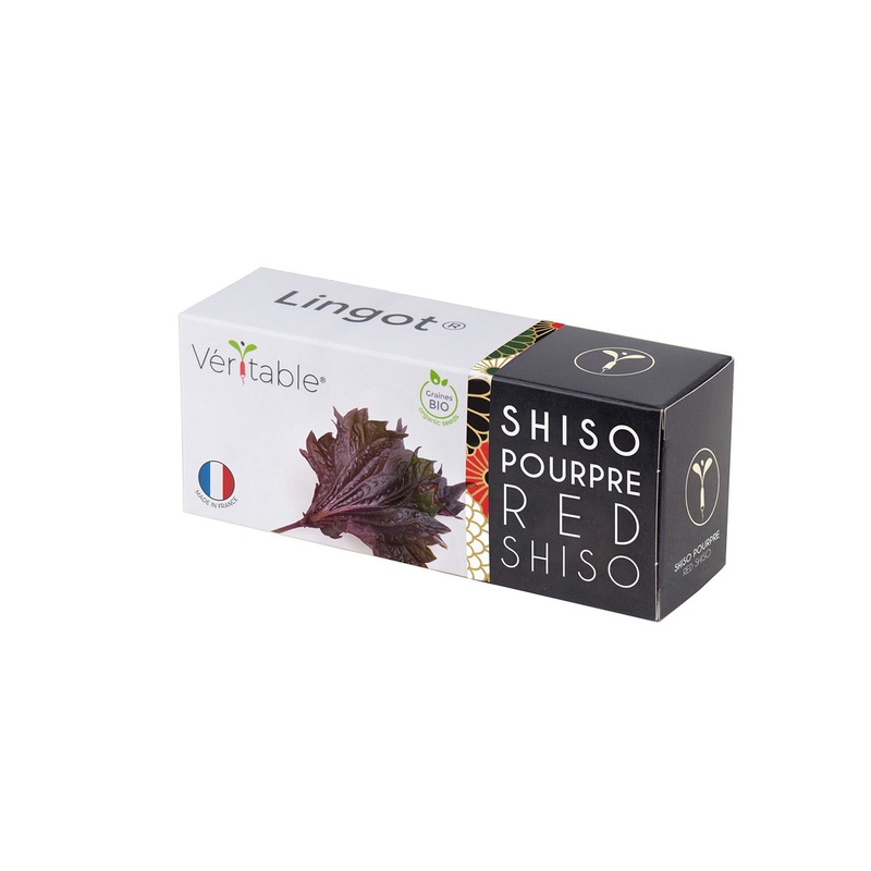 Veritable Lingot Shiso purple Organic