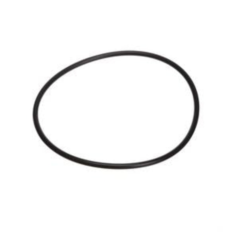Everpure E-Series Replacement O-Ring