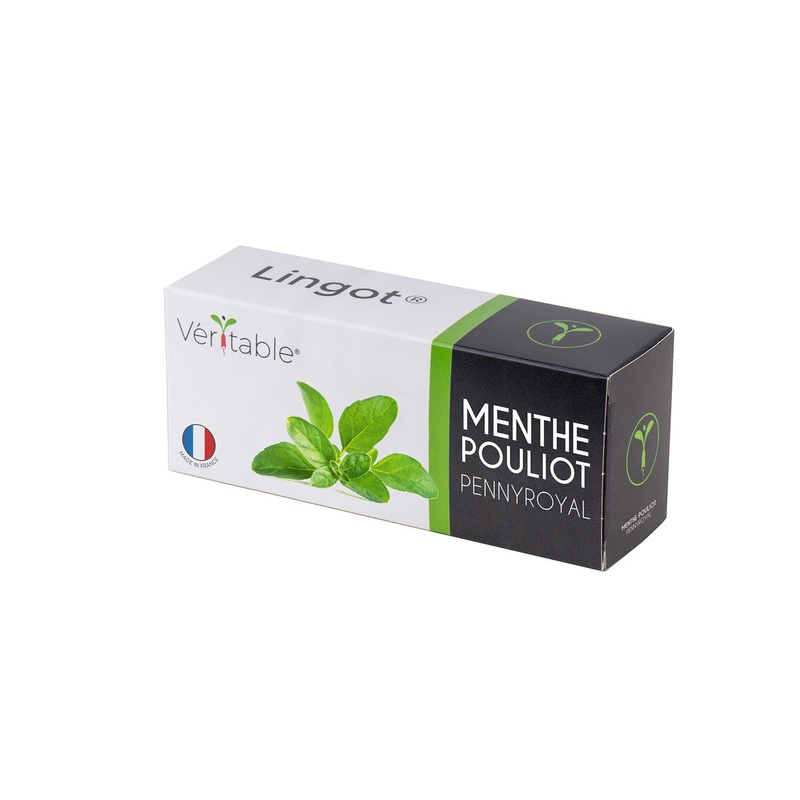 Veritable Lingot Pennyroyal Mint Veritable Lingot