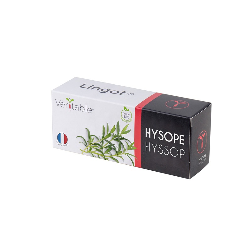 Veritable Lingot Hyssop Organic