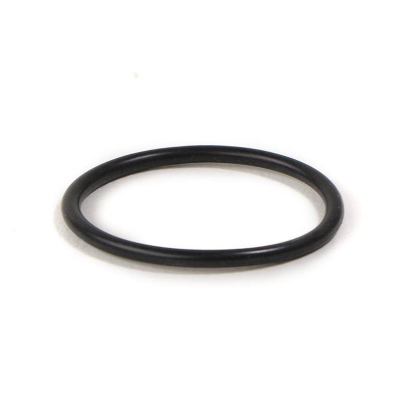 Astoria Coffee Boiler Element Gasket – 12300040
